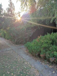 viber_kép_2023-09-29_08-30-15-883