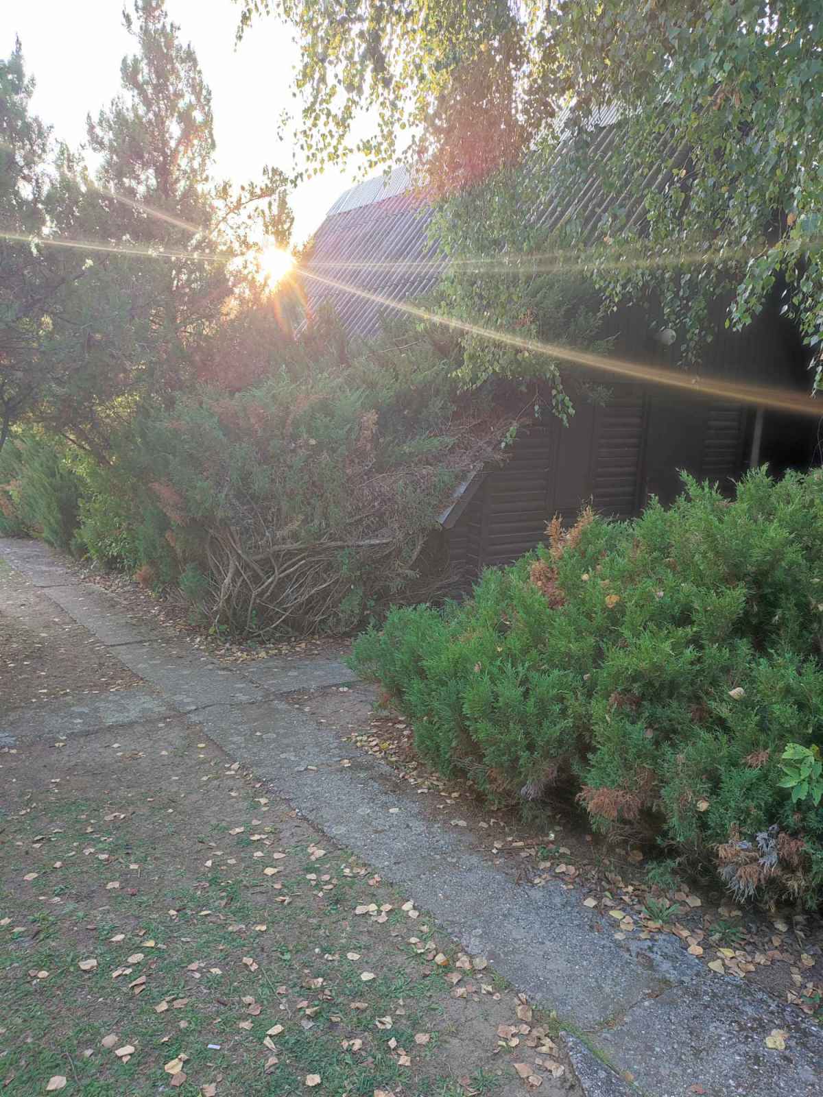 viber_kép_2023-09-29_08-30-15-883